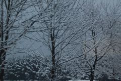 DSC_1144.jpg