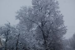 DSC_1160.jpg