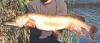 post-2-1149084683_thumb.jpg