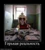 post-7297-1289323765_thumb.jpg