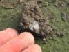 post-935-1224682063_thumb.jpg